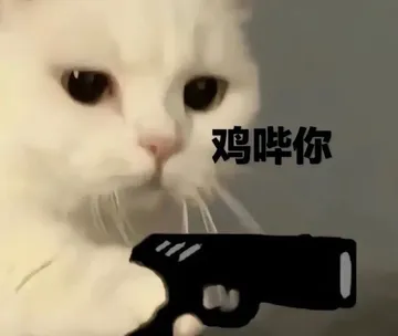 鸡哔你