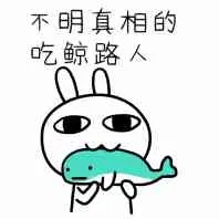 不明真相的吃鲸路人!