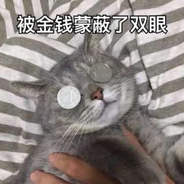 被金线蒙蔽了双眼