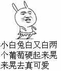 小白兔白又白，两个葡萄硬起来晃来晃去真可爱