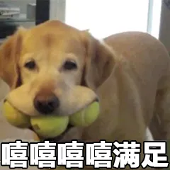 嘻嘻嘻嘻.满足