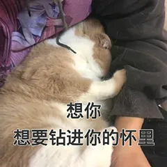 想你.想要钻进你的怀里