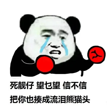 死靓仔 望咩望 信不信把你也揍成流泪熊猫头