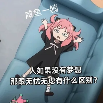 间谍过家家 memes