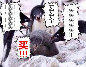 企鹅：买买买