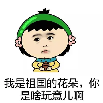 我是祖国的花朵，你是啥玩意儿啊