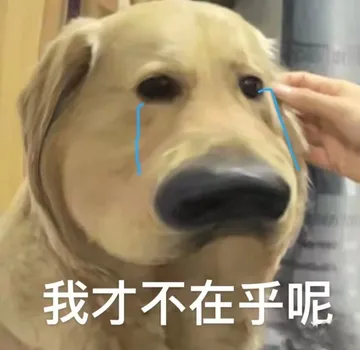 我才不在乎呢