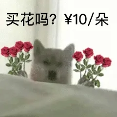 doge狗狗拿花花动图表情包
