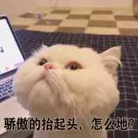 骄傲的抬起头，怎公地