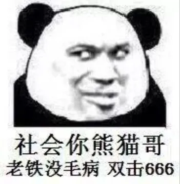 社会你熊猫哥.老铁没毛病双击666