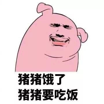 猪猪表情。
