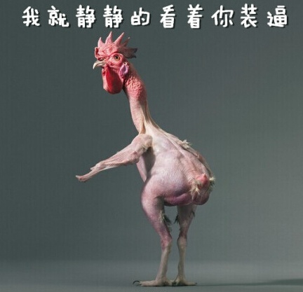我就静静的看着你装逼