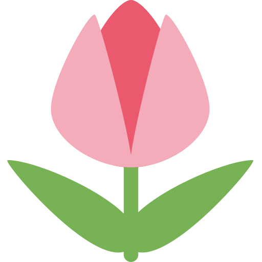 Tulip