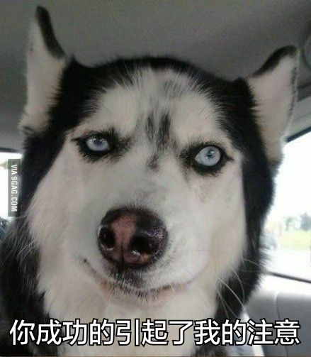 你成功的引起了我的注意