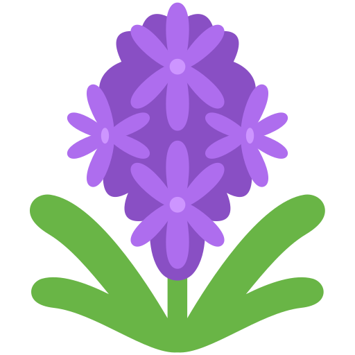 Hyacinth