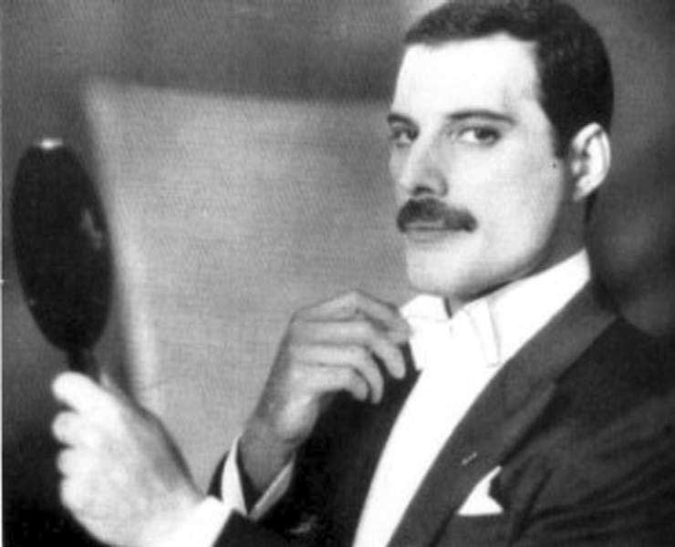 Elegant Freddie Mercury