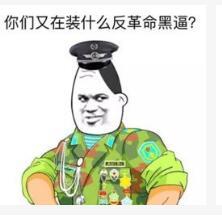 你们又在装什么反革命黑逼?