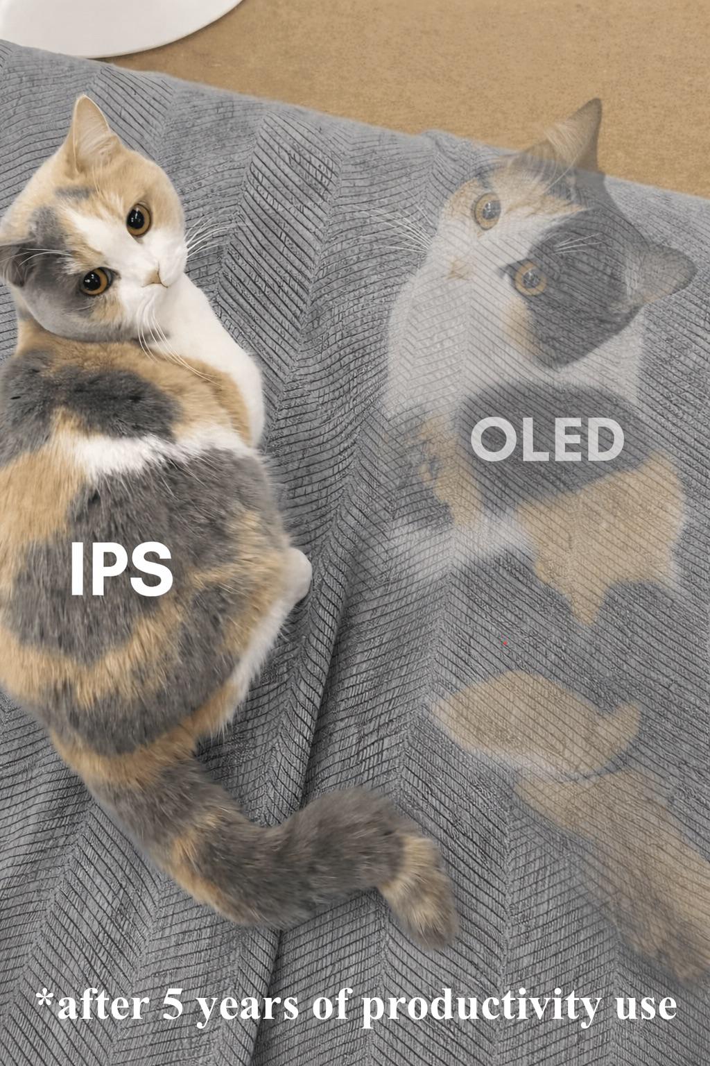 IPS Vs. OLED Explained For The Car Enthusiasts *After 5 Years Of Productivity Use