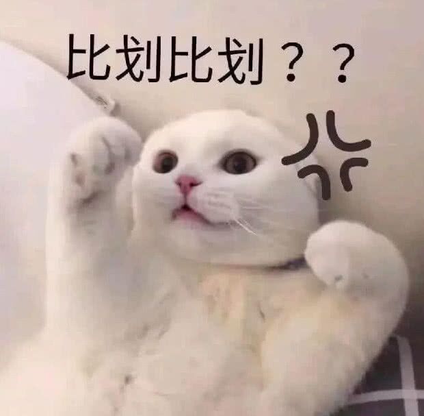 比划比划??