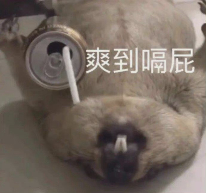 爽到隔屁
