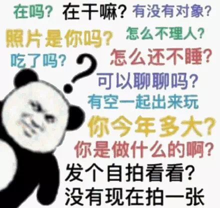 在吗?在干嘛?有没有对象?照片是你吗?怎么不理人?吃了吗?怎么还不睡?可以聊聊吗?有空一起出来玩你今年多大?你是做什么的啊?发个自拍看看?没有现在拍一张