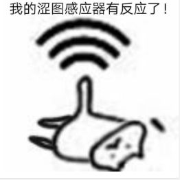 我的涩图感应器有反应了!