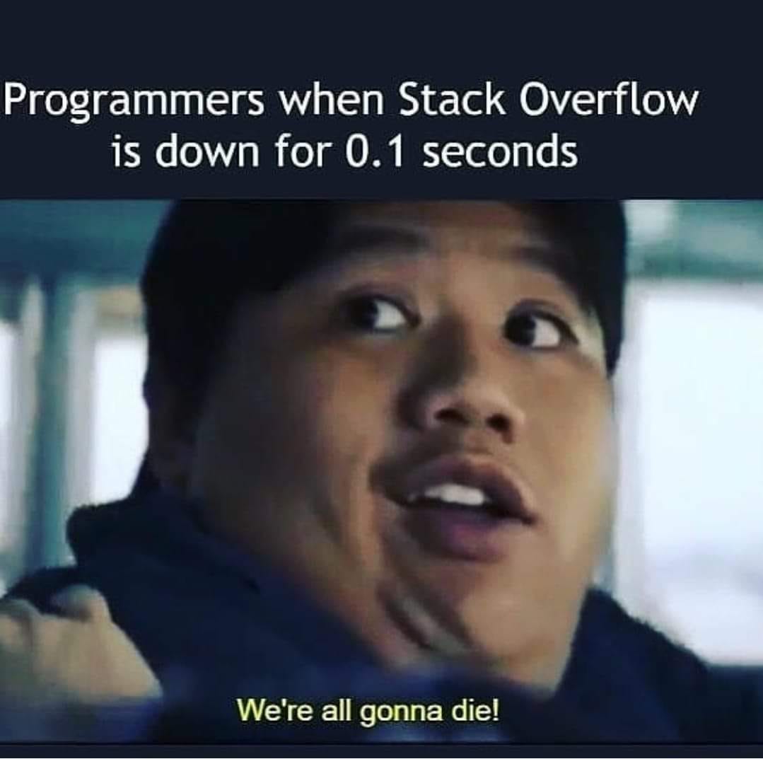 Stack Overflow: The Developer's Life Support