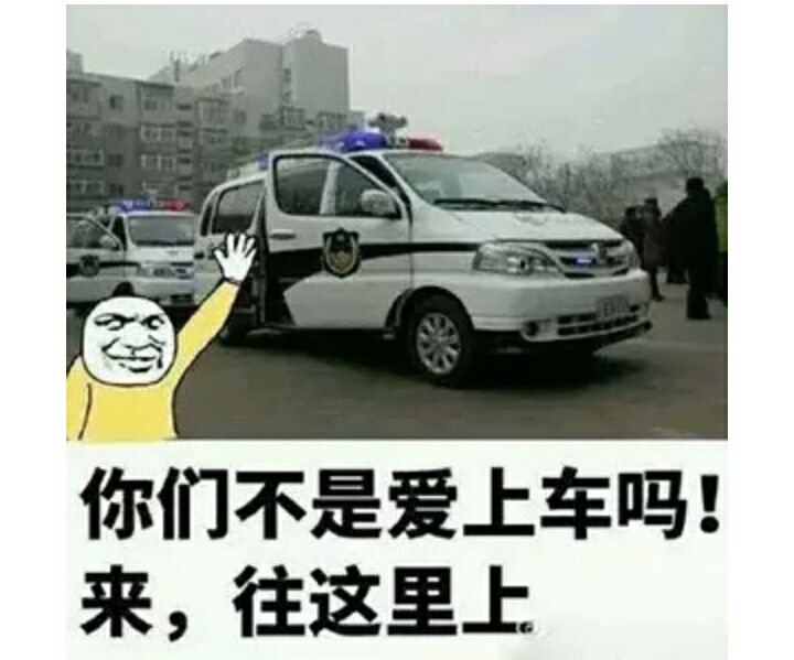 你们不是爱上车吗?来,往这里上