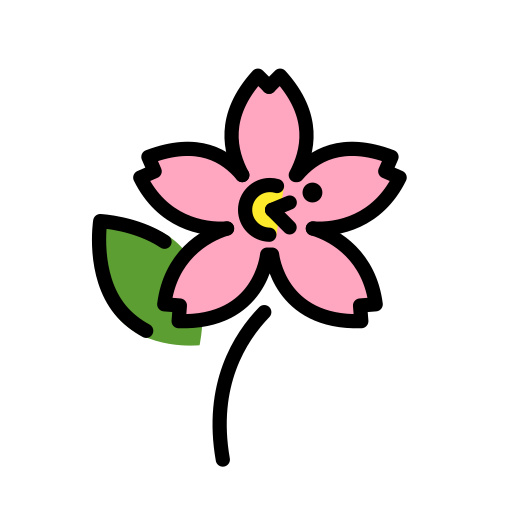 Cherry blossom