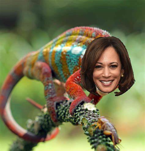 Kamala chameleon