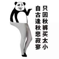 男人要不要穿秋裤,千山万水总是情,不穿秋裤真不行。