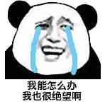 我能怎么办我也很绝望啊