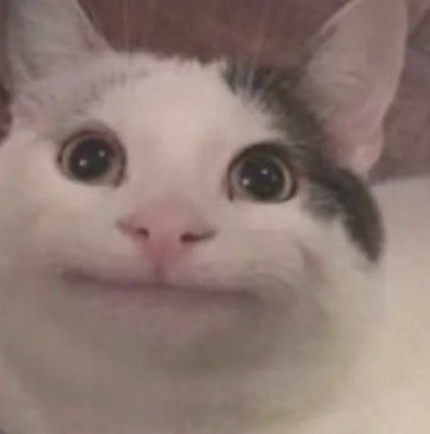 猫猫头表情包