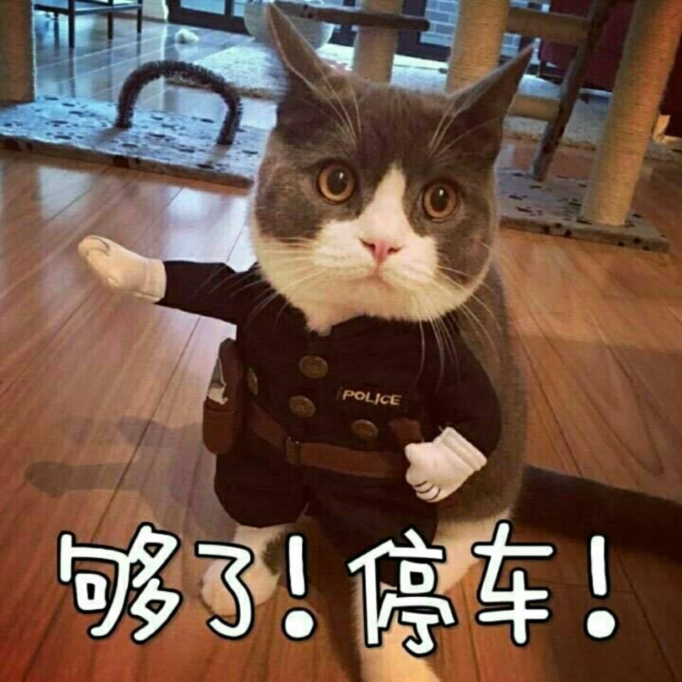 够了!停车!