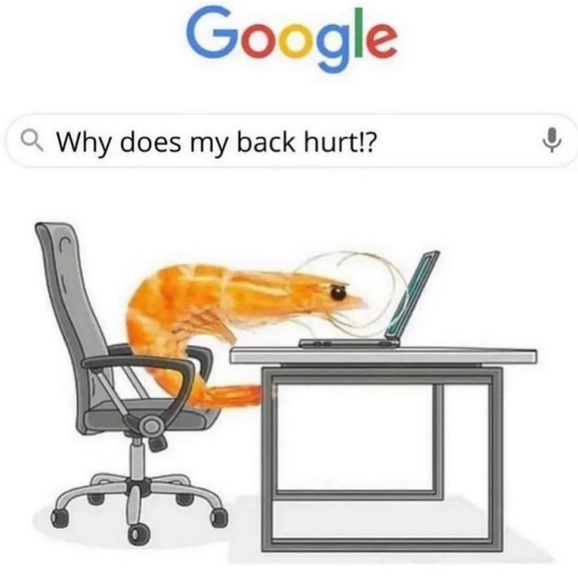 Take Care Of Your Back