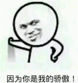 因为你是我的骄傲