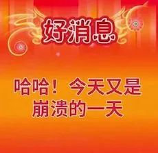 好消息哈哈!今天又是崩溃的一天