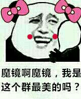 魔镜啊魔镜,我是群里最美的吗?