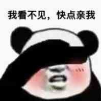 我看不见,快点亲我