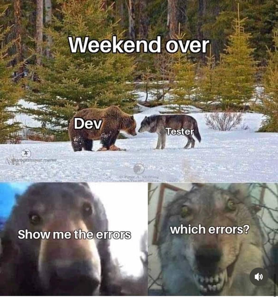 The Weekend Warrior Meets Monday's Truth