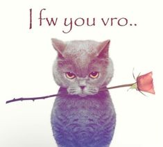 I fw you vro