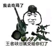 我去吃鸡了,王者峡谷就交给你们了