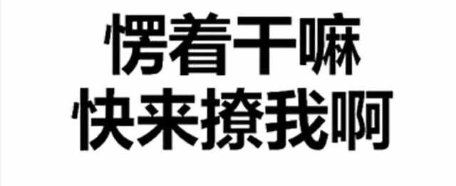 愣着干嘛,快来撩我啊