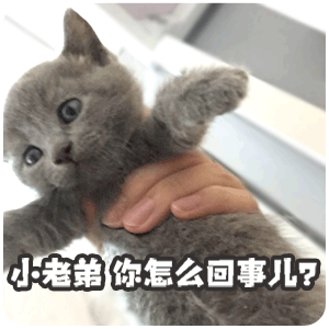 小老第,你怎么回事儿?