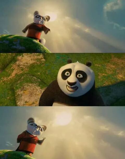 kung fu panda