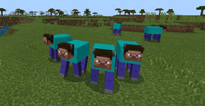 me and the boys