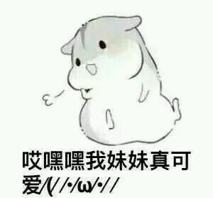 哎嘿嘿我妹妹真可爱