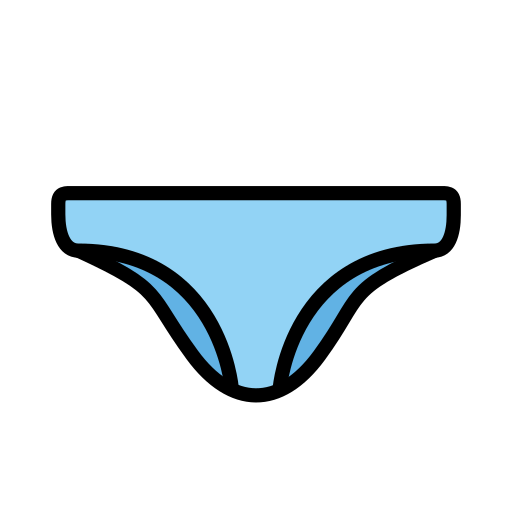 Briefs